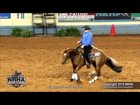 Fine Electricmachine ridden by Peter Defreitas  - 2015 NRHA Futurity (Open Futurity First Go)