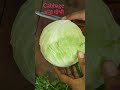 Cabbage Recipe In 5 Min Patta Gobhi Ya Band Gobi Ki Sabzi Cabbage Sabzi Without Garlic Shorts