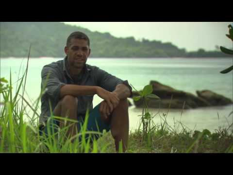 Survivor - It's Incredibly Difficult