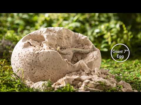 DIG IT UP! BIG EGG DINOSAUR