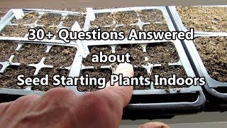 Seed Starting Basics: 30+ Questions Answered on Seed Starting Indoors - Digital Table of Contents