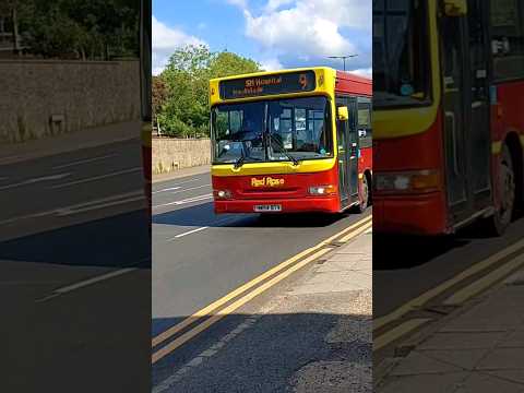 Red Rose ADL Pointer Dart (HW54 BTV)