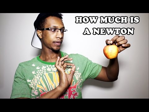 HOW MUCH FORCE IS 1 NEWTON | (GREAT EXAMPLE + MAGIC)