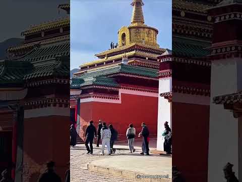 NƠI TÂM HỒN LẮNG LẠI 🙏 | Tu viện Labrang - HỌC VIỆN PHẬT GIÁO TÂY TẠNG CỦA THẾ GIỚI