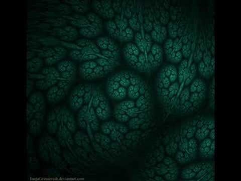 TRANCE VISIONS- Tang Ma Shi G - Kyokujitsu