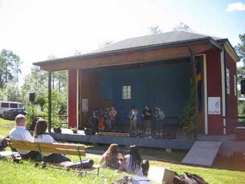 Swedish Folk Music Band 