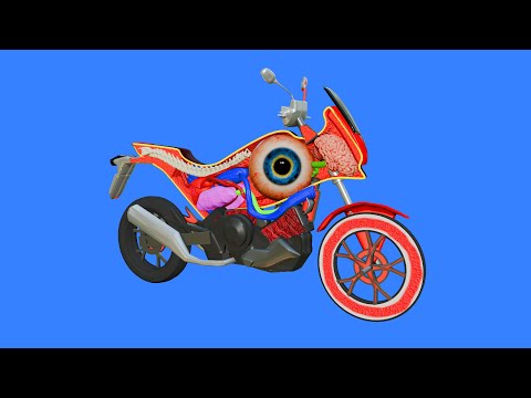 How a Motorcycle works