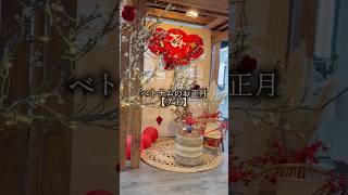 ダナンで迎えたテト｜ベトナムのお正月の過ごし方 #ダナン #ダナン生活 #ベトナム #海外生活