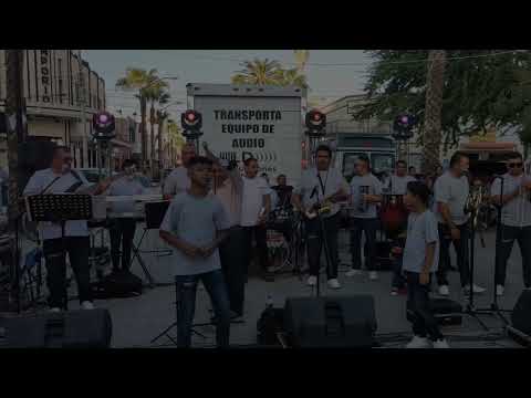 RDS EL RETORNO DEL SABOR EL GATO Y YO