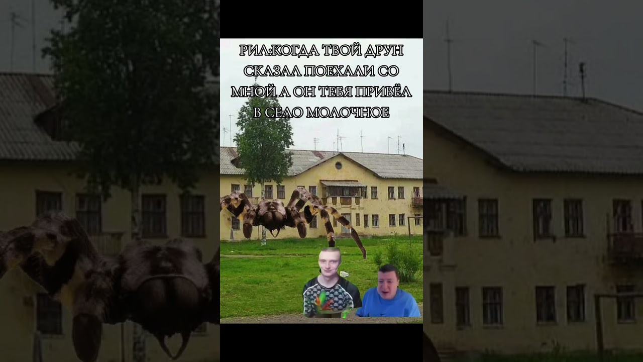 Рил #меллстрой #топ #видео #прикол #мем