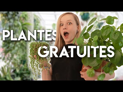 , title : 'Comment avoir PLEIN de plantes GRATUITEMENT?'