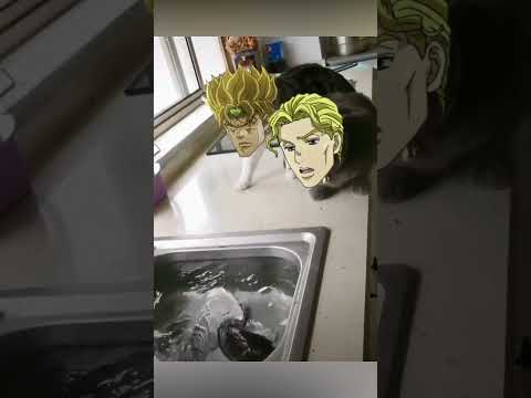Kira & DIO VS Jotaro