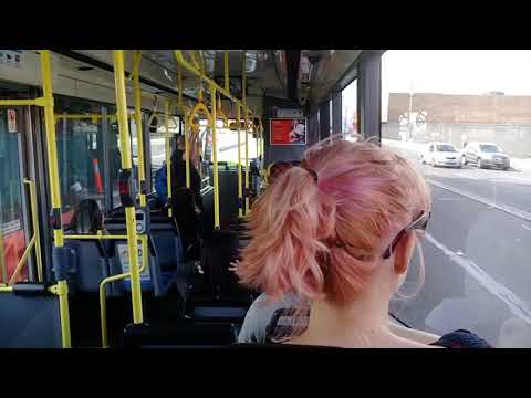 Loud ZF - Transit Systems: 3869 Volvo B10BLE/APG Orana [Burwood](461 - The Domain)