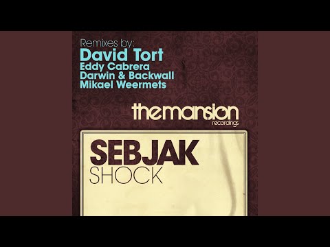 Shock (Mikael Weermets Remix)