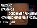 ACADEMIA. Михаил Угрюмов. Основные принципы функционирования ...