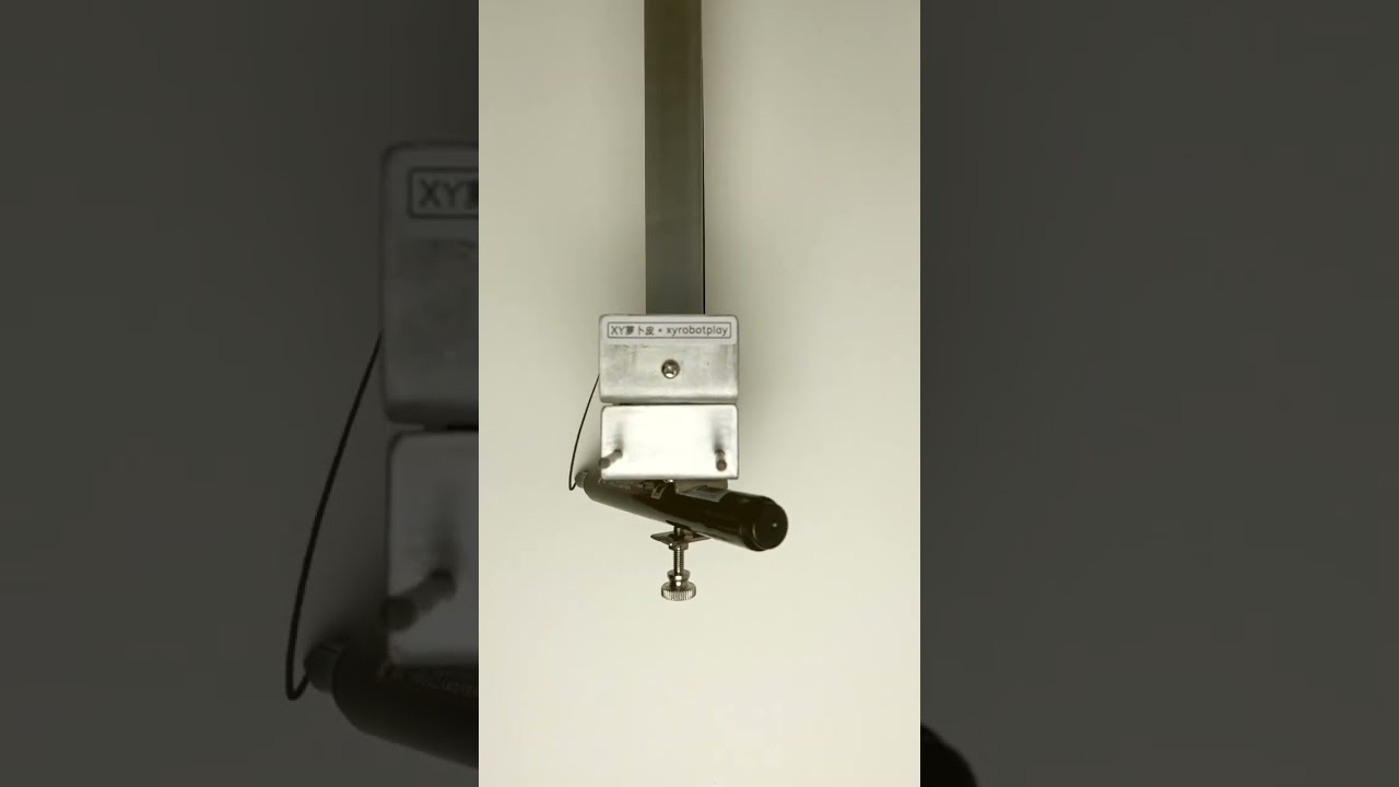 The 20th Anniversary of Leslie Cheung's Death