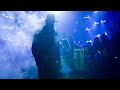 The Undertaker's iconic career: WWE Playlist
