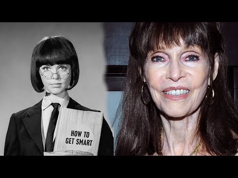 What Really Happened to Barbara Feldon - Star in Get Smart