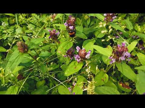 In drum spre Durau pe axial ( Cristi si Miha ) iulie 2021