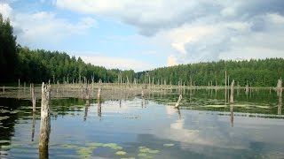 Озера псковской области для рыбалки карта реки и