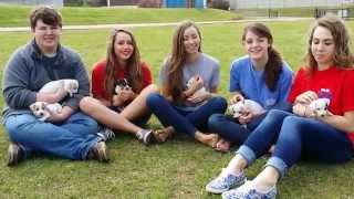 Snow Creek Jack Russell Review By High School Seniors of 2014 - HD Video