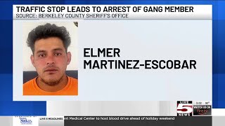 VIDEO: Wanted international gang member arrested during Berkeley Co. traffic stop