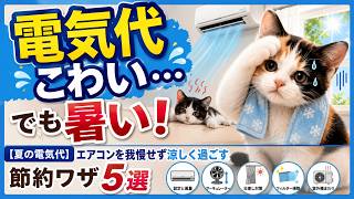 【夏の電気代】エアコンを我慢せず涼しく過ごす節約ワザ5選