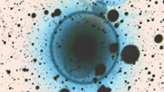 Simple Science (Todd Osborn Remix)