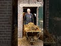 Elke dag 16 kruiwagens met mest: dit is een 'pure boer' | RTV Oost