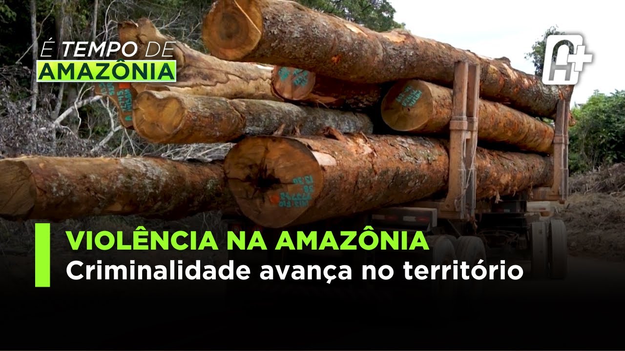 Violência na Amazônia: Criminalidade Avança no Território.
