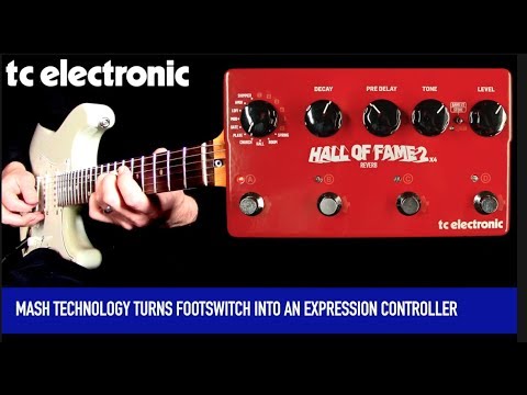 Tc Electronic Hall of Fame 2 x4