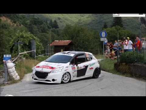 Rally coppa città di Lucca 2019 FRIZ - BERTINI PEUGEOT 208 R2/B