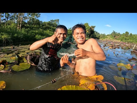 P2.Unang beses to! Nag ta-an kami ng lambat sa maraming waterlily