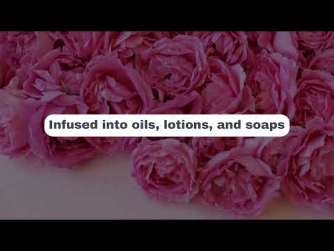 The Story of the Tiare: Tahiti’s Iconic Flower and Cultural Symbol