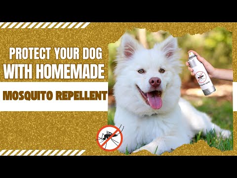 あなたの犬のための天然DIY蚊よけ剤