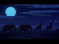 Shadowland (Nala and Kiara) 