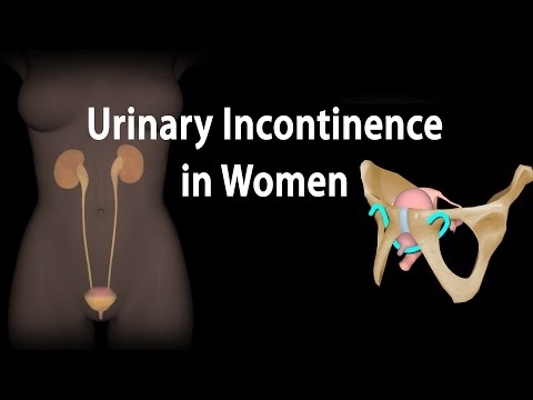 Kidney Homeostatic Functions Animation