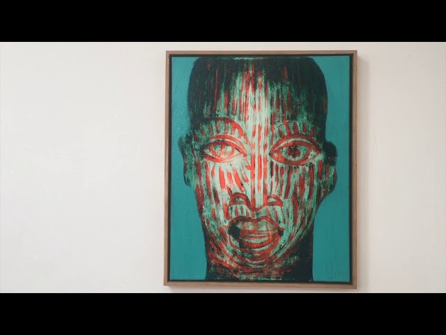 &#169;video: Hans Theys