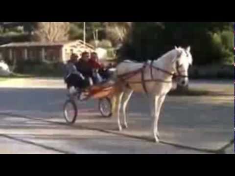 ||| BA BA BOOM NIGHT ||| VOL 2 ||| EASTER EDITION ||| PROMO |||