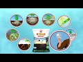 K MAX ENERGY GUJARATI Innovative And Unique Bio Fertilizer Arbuscular Mycorrhizae And Micro Algae