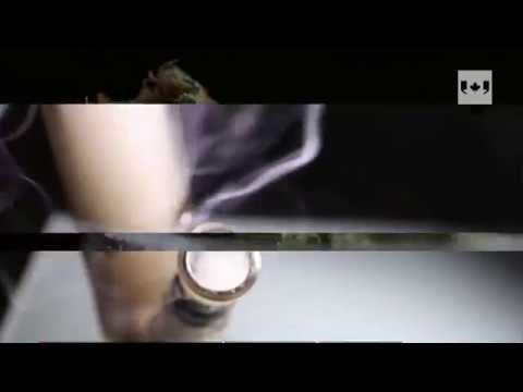 How 4-20 became associated with cannabis culture