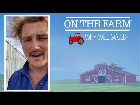 On the farm with Will Gould - Week 3