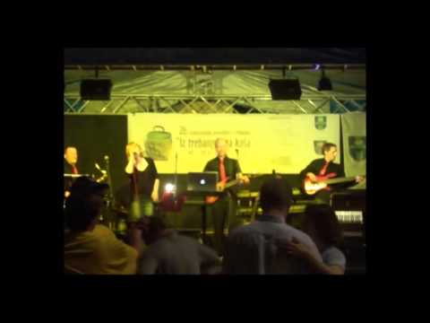 ZIDANIŠKI KVINTET (LIVE) - SIMPLY THE BEST, 26. TREBANJSKI KOŠ, 15. 06. 2014