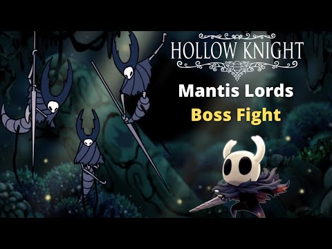 Hollow Knight How to Beat The Mantis Lords
