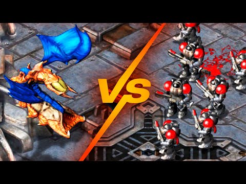 [SDS3] Sacsri vs sSak (Bo7)