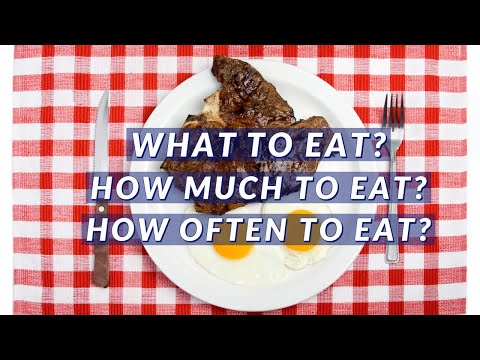 YouTube video about: How many calories do lions eat a day?