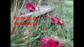 Taylor swift - Lucky you (Lyrics)