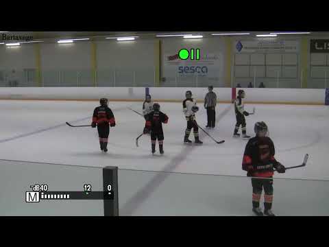 LOTVONEN LKV-KUTSUTURNAUS D2-07 AAA PRONSSI OTTELU alkaa klo 14.45 Kookoo vs Kärpät