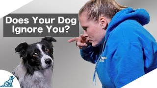Are You Accidentally Being A BAD Leader For Your Dog?
