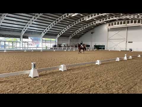 U jolly jumper novice 37A taking the win with 72.41% 01/10/2020